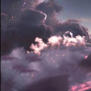 Meet your Posher, Alexia